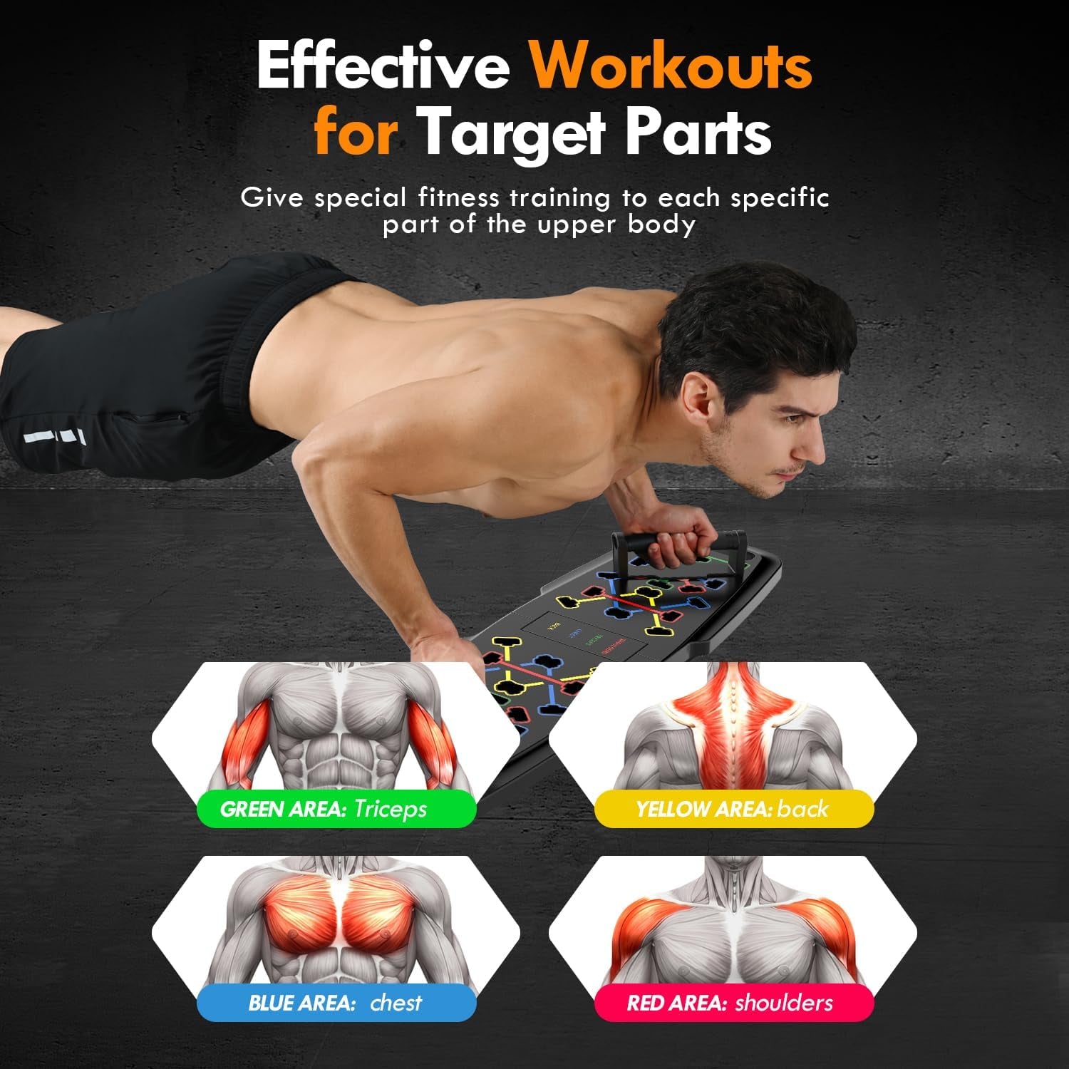 Push-Up Board Home Gym – Portable Exercise Equipment with Pilates Bar, Resistance Bands, Ab Roller & 20 Fitness Accessories for Full Body Workouts at Home.